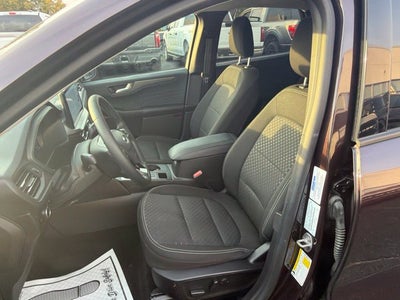 2023 Ford Escape Active AWD