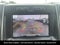 2019 Ford F-150 XLT LOCAL TRADE
