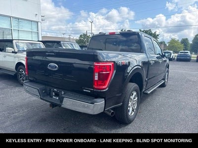 2023 Ford F-150 XLT 4WD