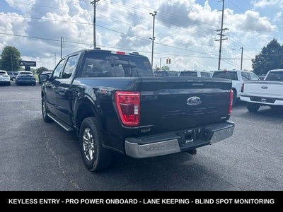 2023 Ford F-150 XLT 4WD
