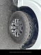 2025 Ford F-150 Tremor 5.0 V8