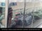 2023 Lincoln Aviator Standard PANORAMIC ROOF