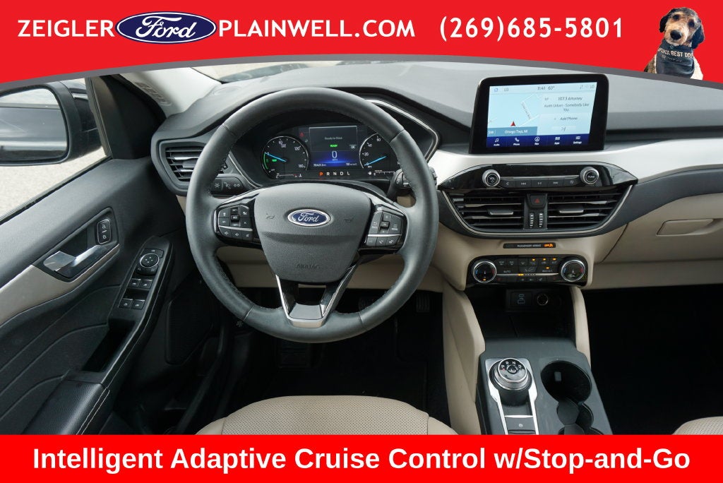 2022 Ford Escape Hybrid SEL