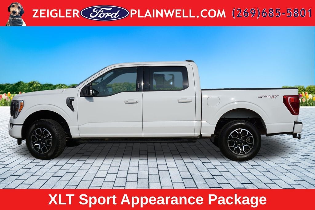 2023 Ford F-150 XLT Sport Crew Cab 4x4 Rear Camera