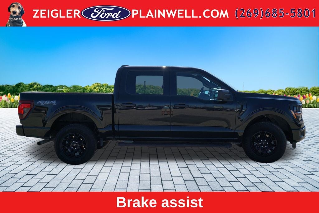 2025 Ford F-150 XLT Black Apoearance Pkg 3.5L Ecoboost Blis Rear Camer