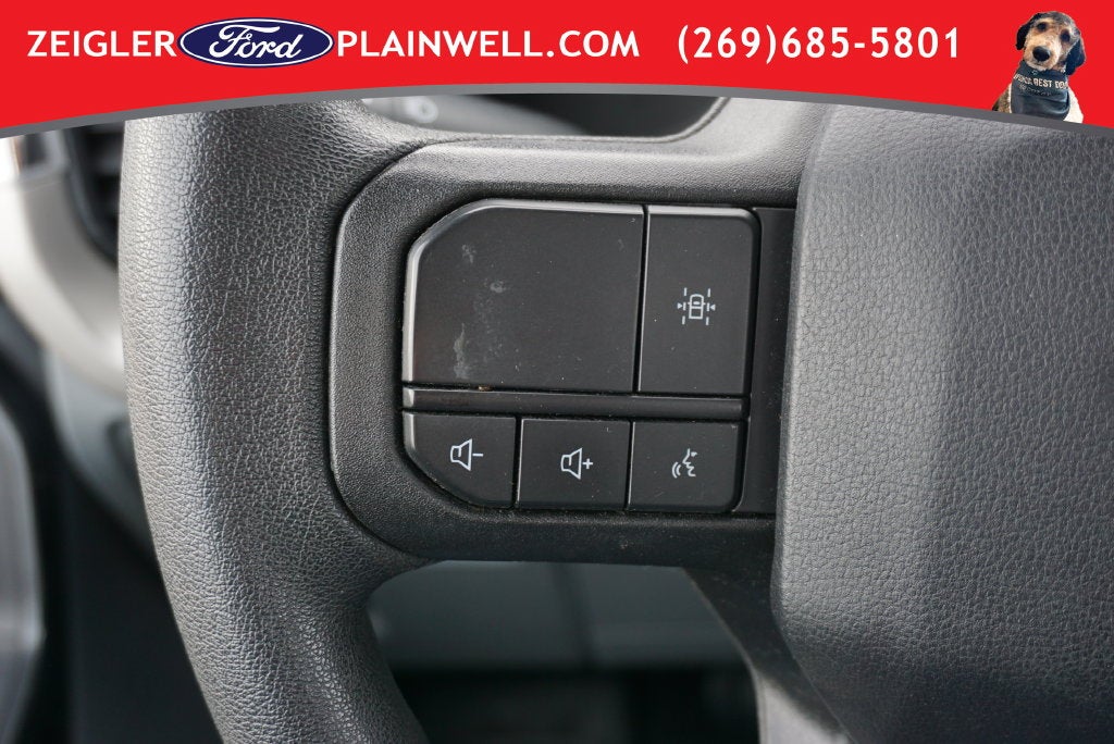 2021 Ford F-150 XL Reg Cab 4x4 Rear Camera