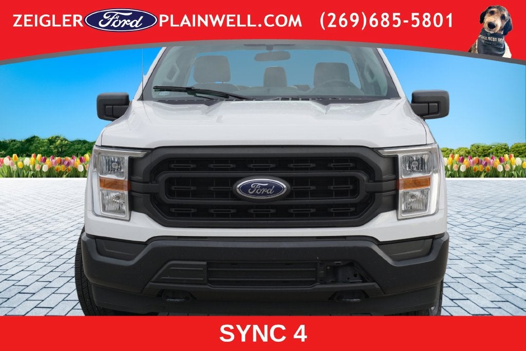 2021 Ford F-150 XL Reg Cab 4x4 Rear Camera
