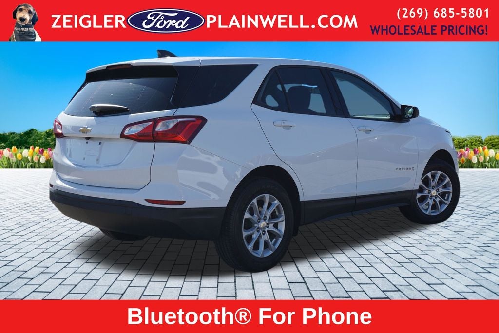 2019 Chevrolet Equinox LS AWD Rear Camera
